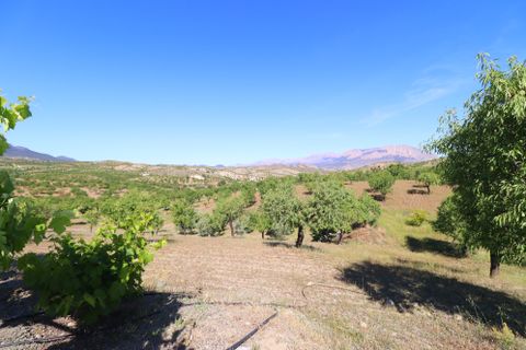 Landejendom i Velez-Rubio, Almeria, Velez-Rubio - € 170.000 | Ref: 3054-CH - foto 34